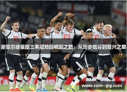 谢菲尔德星期三英冠劲旅崛起之路：从历史低谷到复兴之巅