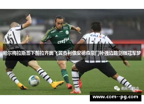 帕尔梅拉斯签下前拉齐奥飞翼费利佩安德森豪门补强边路剑指冠军梦 帕尔梅拉斯签下前拉齐奥飞翼费利佩安德森豪门补强边路剑指冠军梦