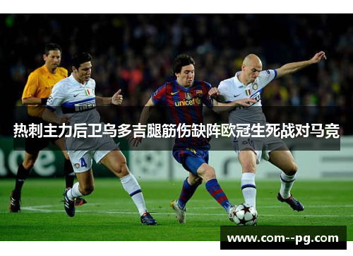 热刺主力后卫乌多吉腿筋伤缺阵欧冠生死战对马竞