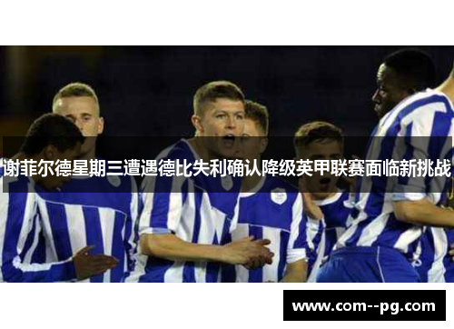 谢菲尔德星期三遭遇德比失利确认降级英甲联赛面临新挑战