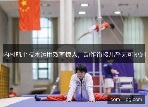 内村航平技术运用效率惊人，动作衔接几乎无可挑剔