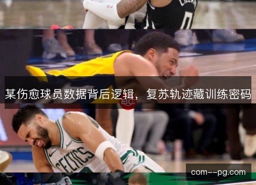 某伤愈球员数据背后逻辑，复苏轨迹藏训练密码