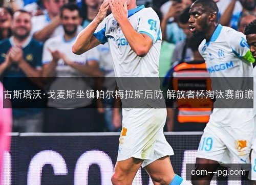 古斯塔沃·戈麦斯坐镇帕尔梅拉斯后防 解放者杯淘汰赛前瞻